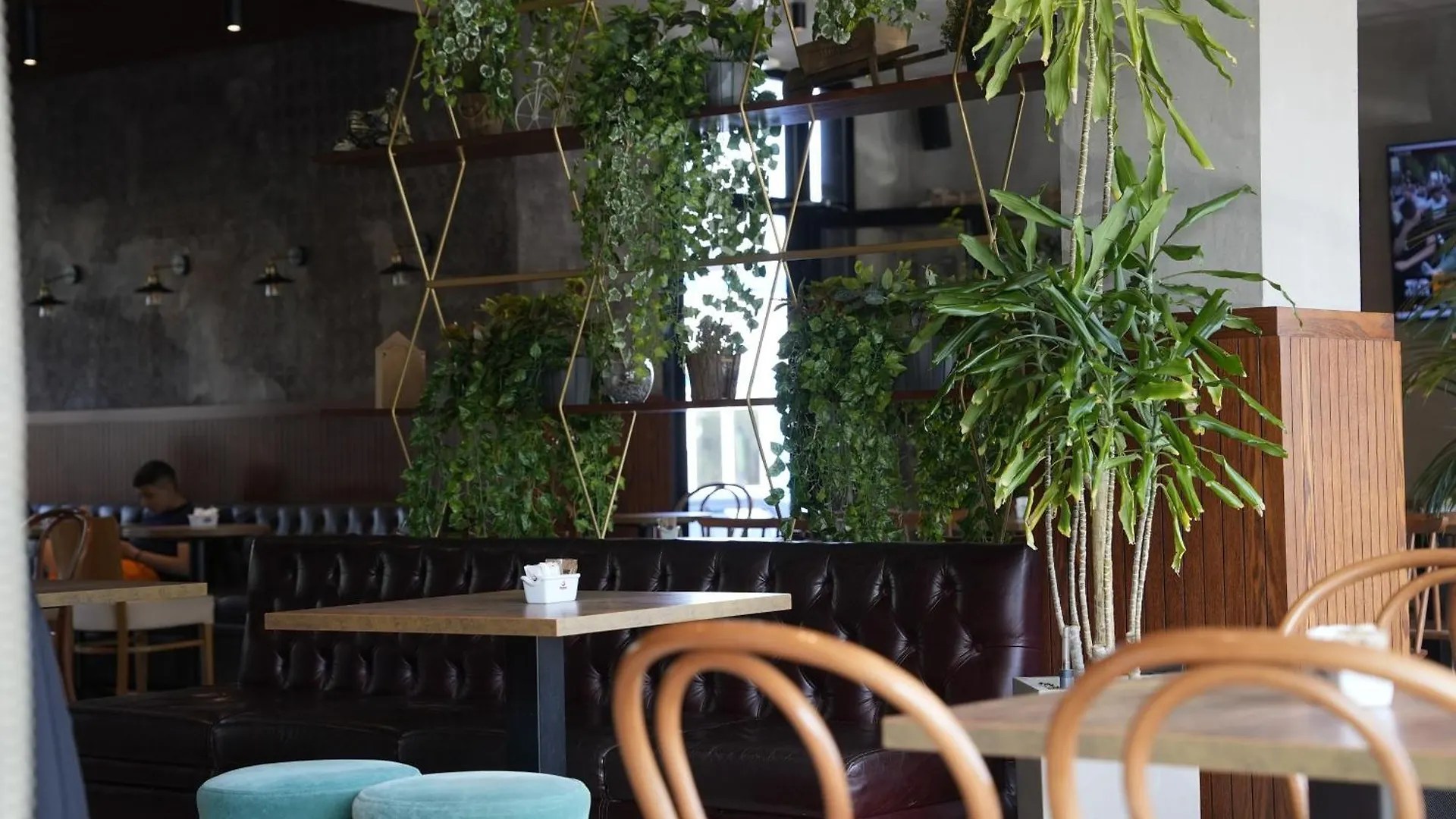 Bluepoint Hotel Tepelene